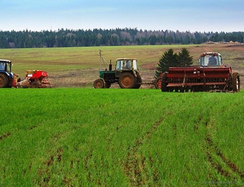 В Україні почали роботу інформаційні центри з підтримки розвитку фермерства фото, ілюстрація