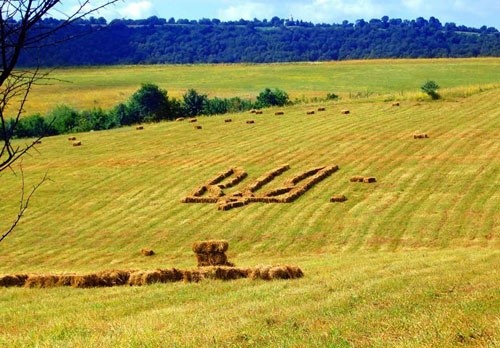 Українським аграріям залишилося зібрати зернові з 2% прогнозованих площ фото, ілюстрація