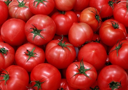 На український ринок не допущено 36 тон заражених турецьких помідорів фото, ілюстрація
