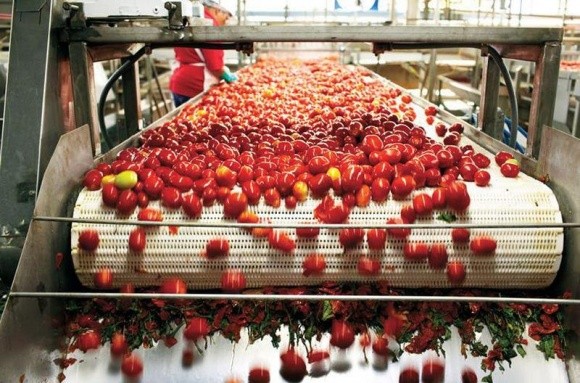 На Миколаївщині компанія Agrofusion запускає нову фабрику з виробництва томатної пасти фото, ілюстрація