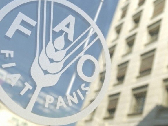 ФАО знизили прогнози виробництва зернових на тлі різкого скорочення перехідних запасів в сезоні 2018-2019 років фото, ілюстрація
