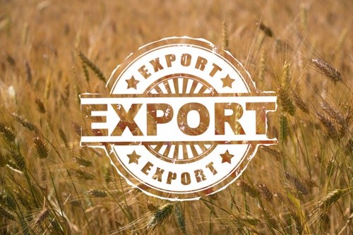 Офіційно: У 2018/2019 МР Україна експортувала рекордний обсяг зернових, – 50.4 млн тон фото, ілюстрація