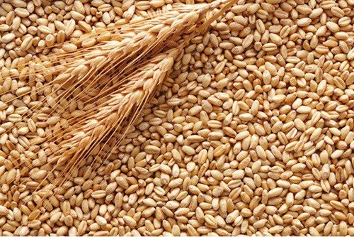 З початку 2019/20 МР Україна експортувала 18 млн тон зерна та борошна фото, ілюстрація