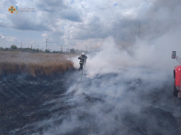 В Київській області горіло пшеничне поле фото, ілюстрація