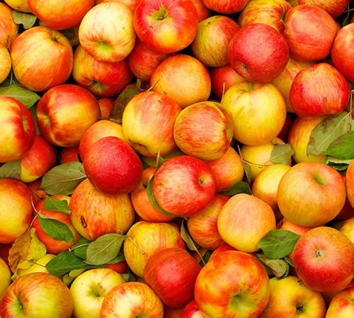 У Молдови та України з'явився конкурент на ринку яблука фото, ілюстрація