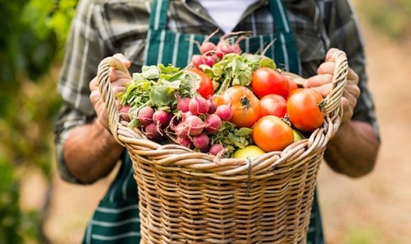 Французький уряд хоче, щоб ціни на продовольчі продукти встановлювали фермери фото, ілюстрація