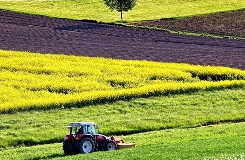 Ринок землі в Україні може почати діяти з 2020 року, - Зеленський фото, ілюстрація