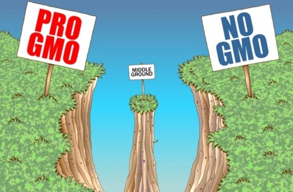 Німеччина наполягає: продукти з відредагованим геномом - це ГМО фото, ілюстрація