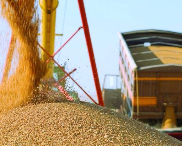 Аграрії вже намолотили понад 11 млн тонн зерна нового врожаю  фото, ілюстрація