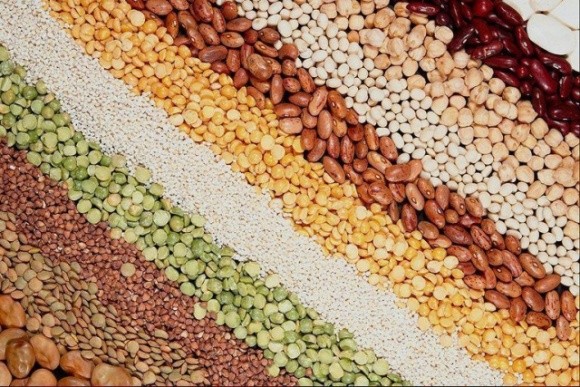 Вітчизняні науковці продають насіння у 80 країн світу фото, ілюстрація