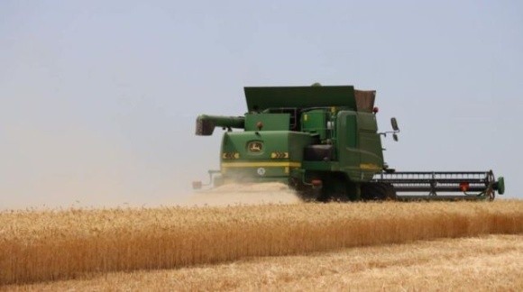 В Україні буде створено реєстр недобросовісних контрагентів на ринку зерна, — УЗА фото, ілюстрація