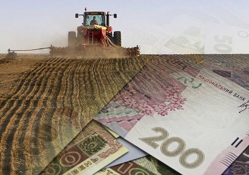 Держпідтримка-2019: Фермерським господарствам нараховано компенсацію у розмірі 81.4 млн грн фото, ілюстрація