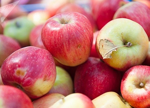 У Польщі прогнозується найгірший врожай яблук за останні 10 років фото, ілюстрація
