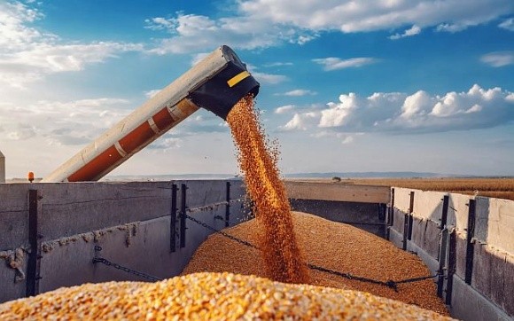 Врожай-2024: Мінагрополітики прогнозує 74 млн т зернових та олійних фото, ілюстрація