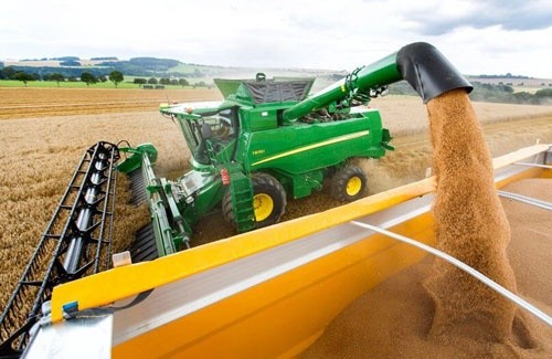 Врожай зерна в Україні досягне рекордних 71.8 млн тон, - Reuters фото, ілюстрація