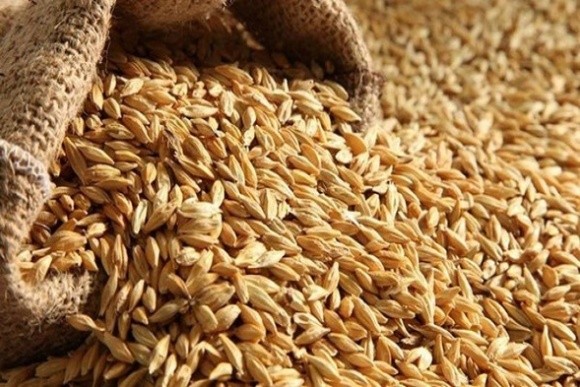 Індонезія посилює  вимоги на імпорт української пшениці фото, ілюстрація