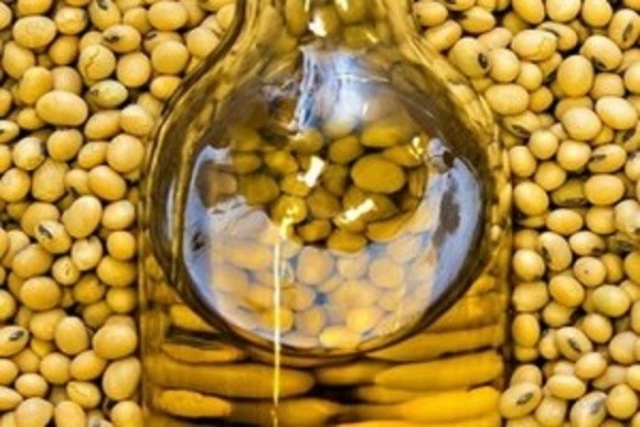 Cargill планує інвестувати в лінію з переробки сої на Каховському ОЕЗ фото, ілюстрація