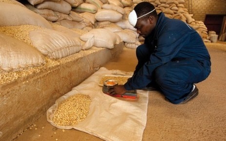 Ефіопія зацікавлена в поставках зерна з України фото, ілюстрація