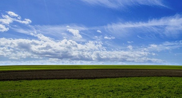 400 тис. грн від втрат сільськогосподарського виробництва направлено на розвиток земельних фондів Черкащини фото, ілюстрація