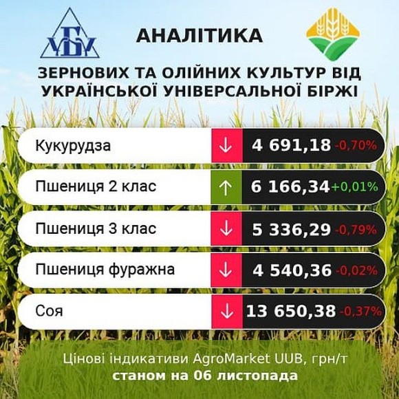 Трейдери прогнозують зростання цін на пшеницю фото, ілюстрація