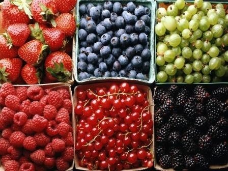 Асоціація виробників фруктів у Польщі закликає перервати і не збирати врожай м'яких фруктів фото, ілюстрація