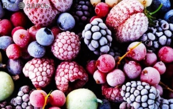 «Агроспецгосп» планирует построить завод по шоковой заморозке плодов и овощей фото, иллюстрация