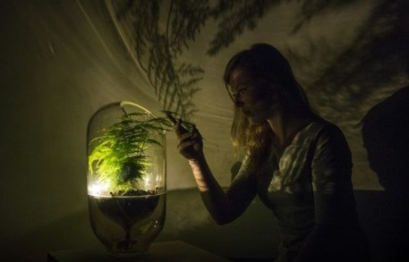 Голландский стартап: преобразование растений в батарейки фото, иллюстрация