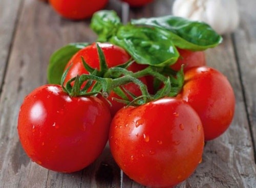 Обсяг світової торгівлі томатами в 2018 році досяг $190.4 млрд фото, ілюстрація
