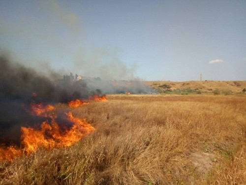 В Україні ледь не згоріли плантації двох ягідних господарств фото, ілюстрація