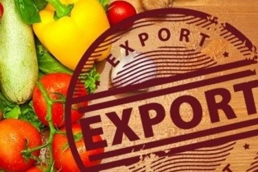 У 2017 році український аграрний експорт зріс на 16,3% фото, ілюстрація