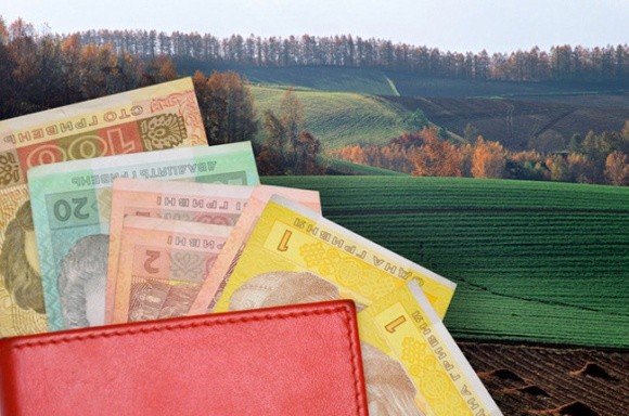 В Україні на аукціонах продали землі на 115 млн грн фото, ілюстрація