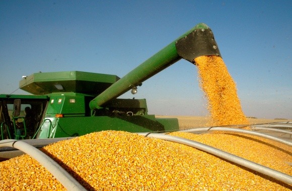 Україна збільшує експорт органічних зернових культур в Німеччину фото, ілюстрація
