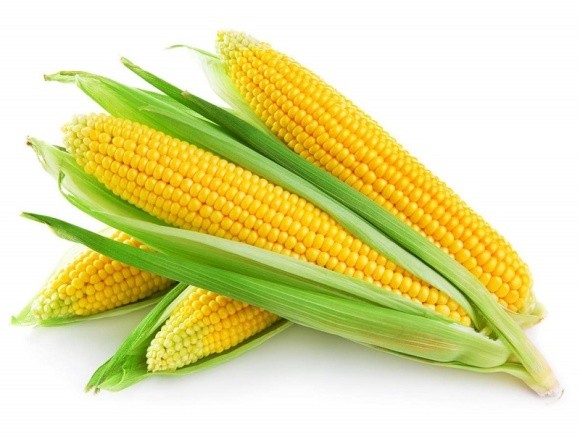 Аграрний напрямок «Епіцентр К» отримав рекордну урожайність кукурузи фото, ілюстрація