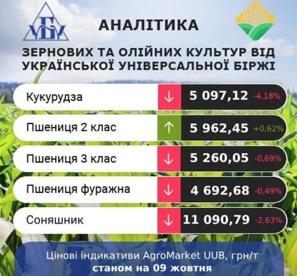 Підвищення цін на кукурудзу не передбачається, – аналітики фото, ілюстрація