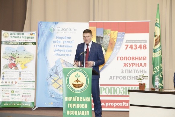 99% горіха в Україні виробляють невеликі господарства фото, ілюстрація