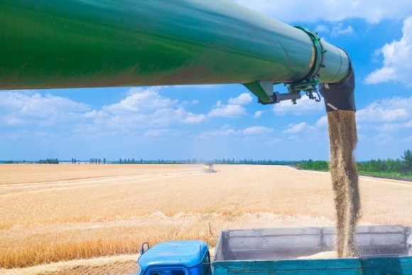 Підтримка українських фермерів: американський уряд з приватним бізнесом інвестували в агробізнес $100 млн фото, ілюстрація