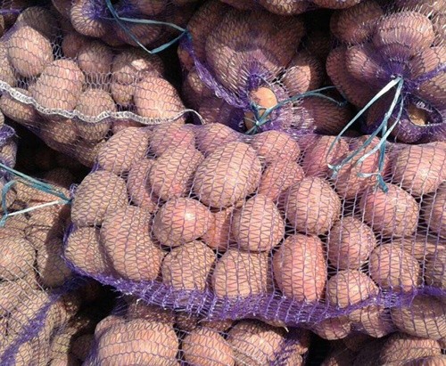 В Україні відновилося зростання цін на картоплю фото, ілюстрація
