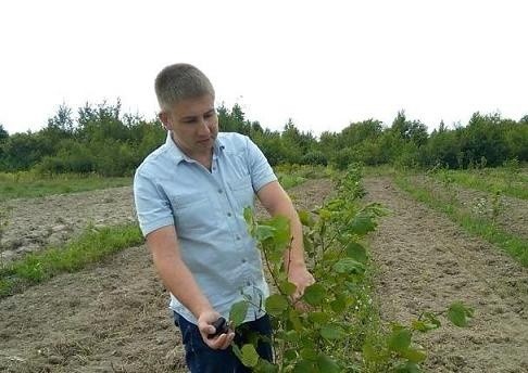 Львівський адвокат придумав власну схему для посадки горіхового саду фото, ілюстрація