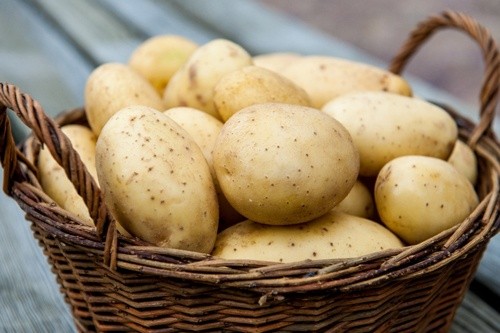 Українська картопля від початку зими подорожчала в два рази фото, ілюстрація