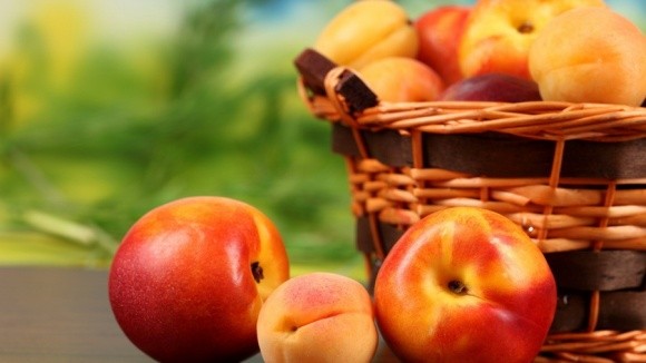 Україна втрачає можливість вирощувати абрикос та персик, на черзі - черешня, - FАО фото, ілюстрація