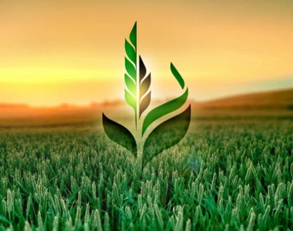 Аграрний фонд збільшив обсяги закупівлі зерна для забезпечення продовольчої безпеки фото, ілюстрація
