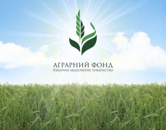 АТ «Аграрний фонд» розпочинає закупівлю зерна врожаю 2022 року фото, ілюстрація
