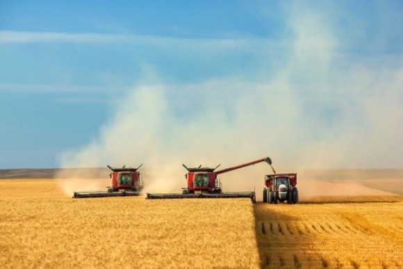 На Житомирщині урожай зернових зменшився майже на 400 тисяч тонн фото, ілюстрація