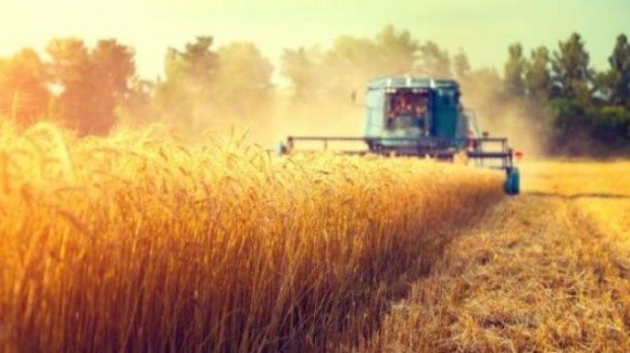 «Близько 30% фермерських господарств Півдня вже згорнули свою діяльність», — експерт фото, ілюстрація