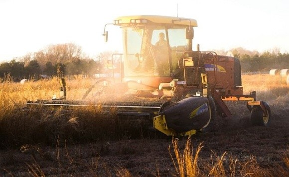 Аграрії на прифронтових територіях потребують додаткових прямих субсидій, – Денис Марчук фото, ілюстрація