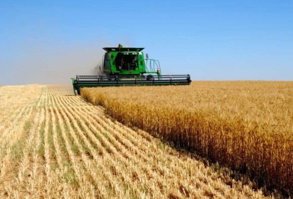 Виклики для агробізнесу: як кризи впливають на сировинні ринки фото, ілюстрація