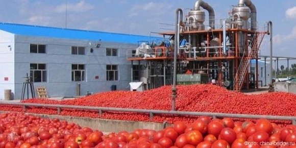 Agrofusion планує довести переробку томатів до 1 млн тонн фото, ілюстрація