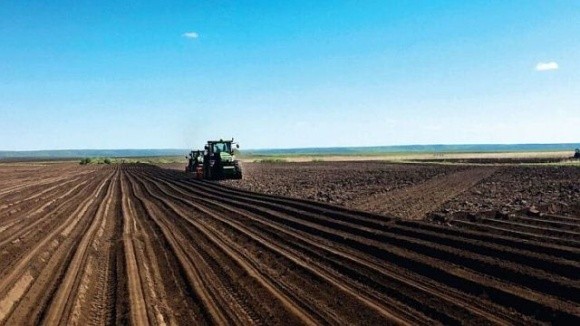 Побоювання, що великі агрохолдинги скуплять переважну частину земель, не справдились, – аналітик фото, ілюстрація