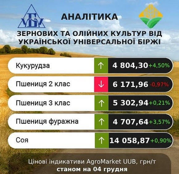 В Україні зросли ціни на кукурудзу та фуражну пшеницю фото, ілюстрація