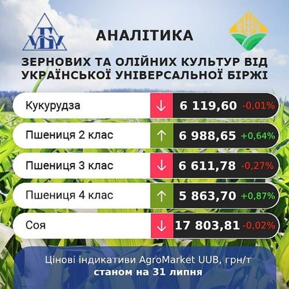 AgroMarket UUB: аналіз українського ринку зерна за 29-31 липня фото, ілюстрація